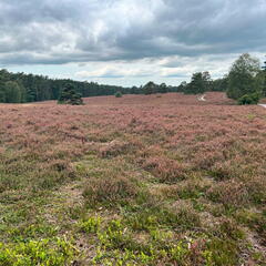 23-09-18 13-46-21 7046